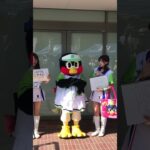 つばめの日焼け止め