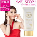 2560円 国産 レステモ シルク姉さん愛用 美白 BBクリーム 35g 送料無